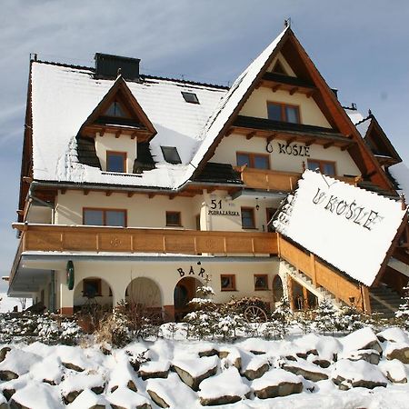 Willa U Kosle Zakopane Dış mekan fotoğraf