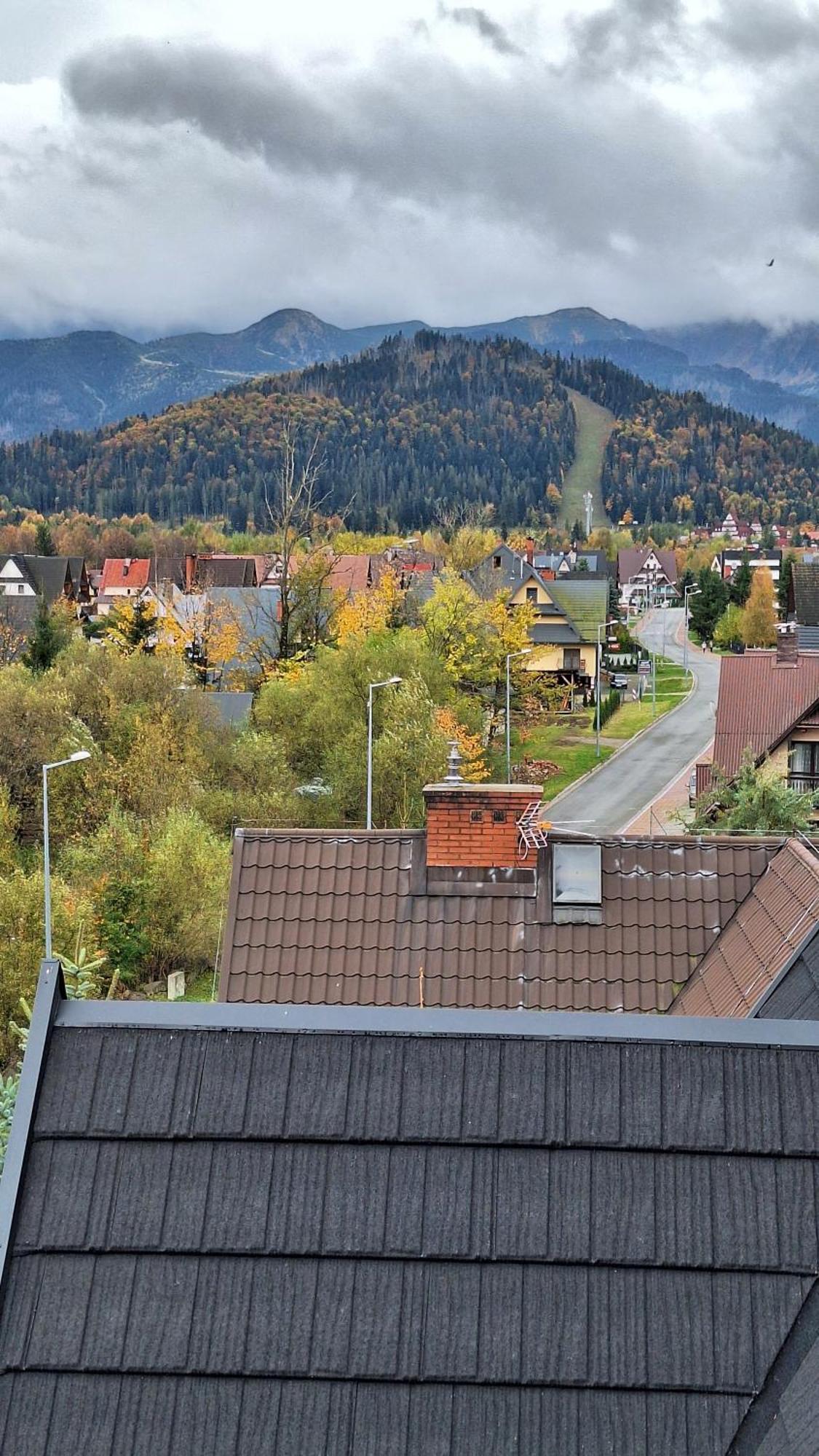 Willa U Kosle Zakopane Dış mekan fotoğraf