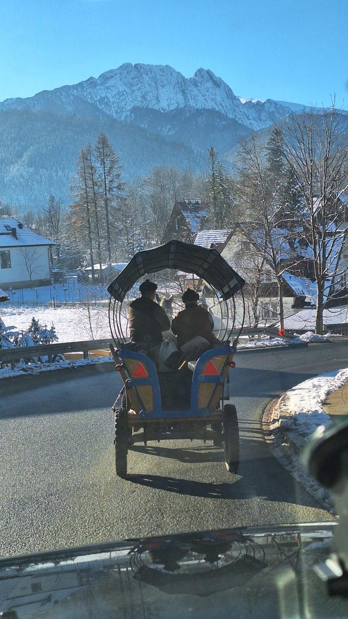 Willa U Kosle Zakopane Dış mekan fotoğraf