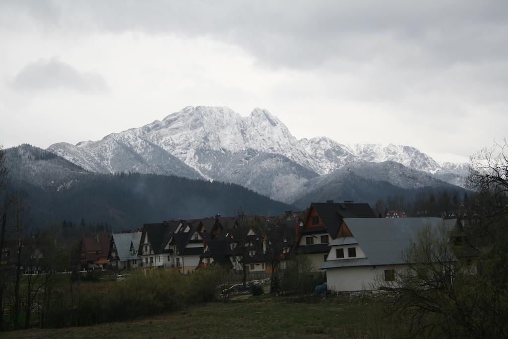 Willa U Kosle Zakopane Dış mekan fotoğraf